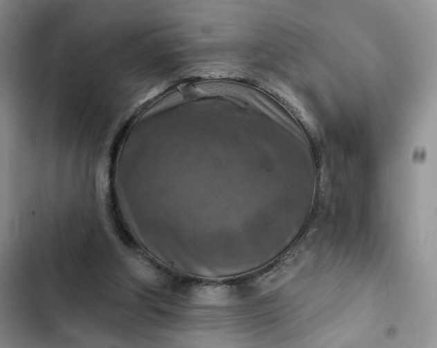 X0000102500202200808221802