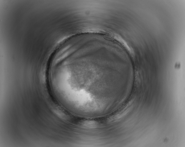 X0000102500203200808221802