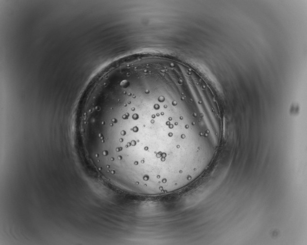 X0000102500204200808221802