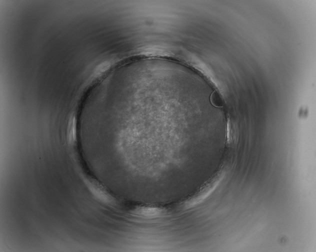 X0000102500205200808221802