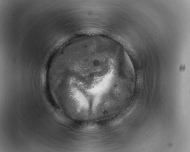 X0000102500206200808221802