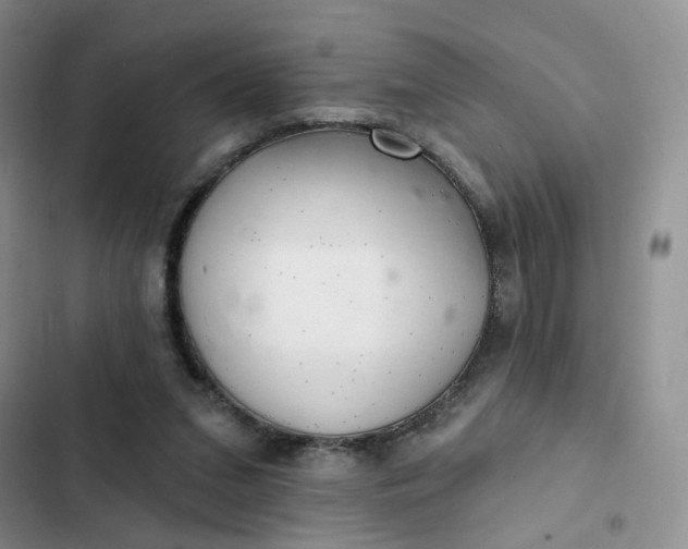 X0000102500207200808221802