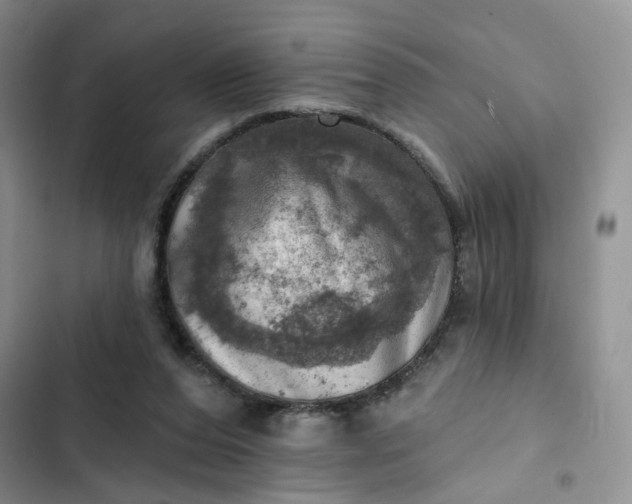 X0000102500208200808221802