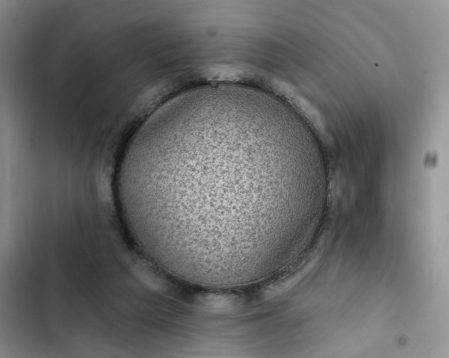 X0000102500209200808221802