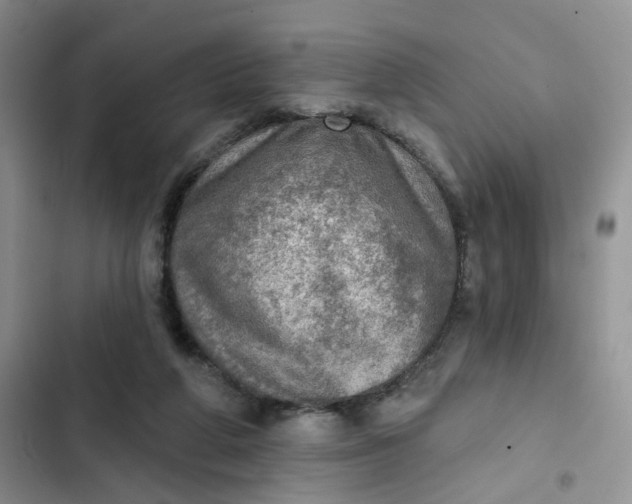 X0000102500210200808221802