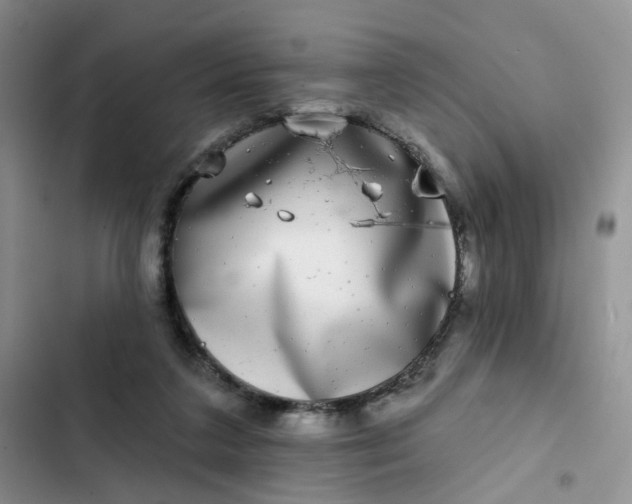 X0000102500211200808221802