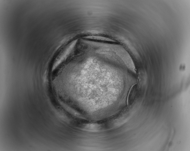 X0000102500212200808221802