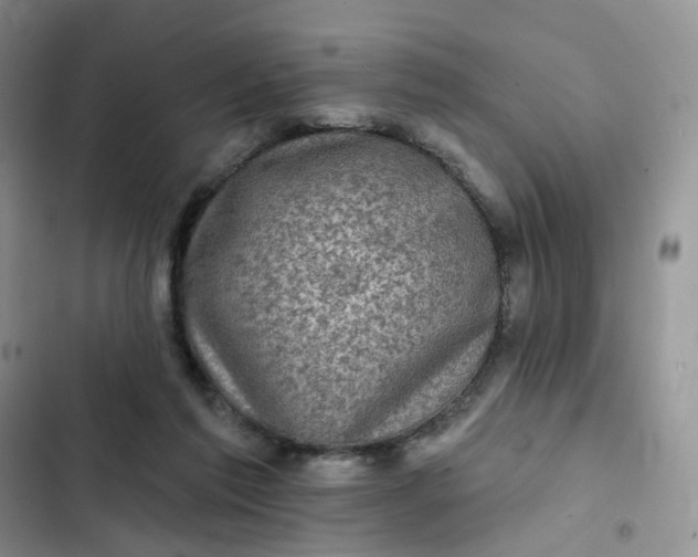 X0000102500213200808221802