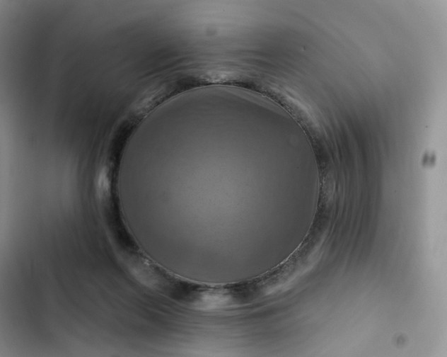 X0000102500214200808221802