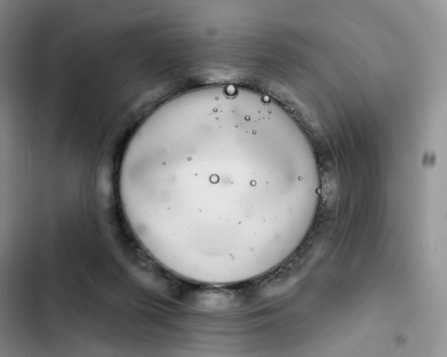 X0000102500215200808221802