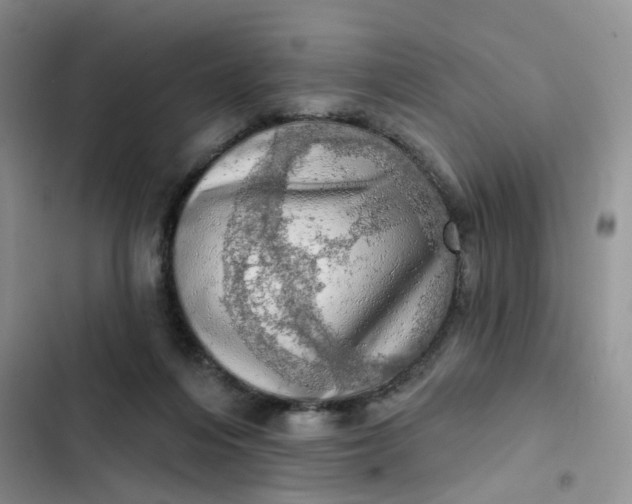 X0000102500216200808221802