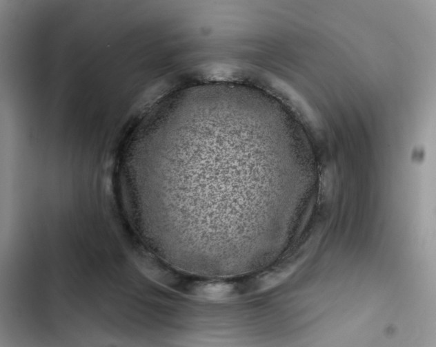 X0000102500217200808221802