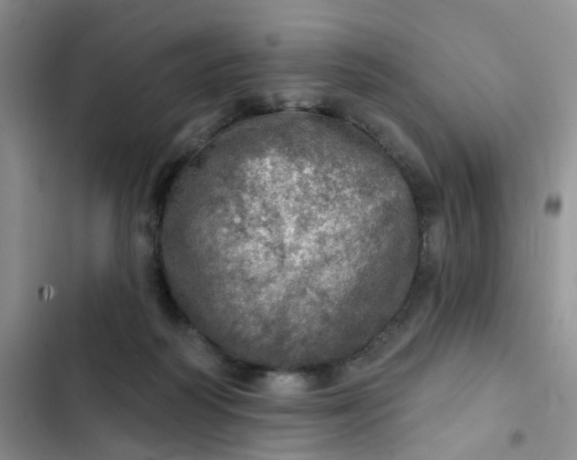 X0000102500218200808221802