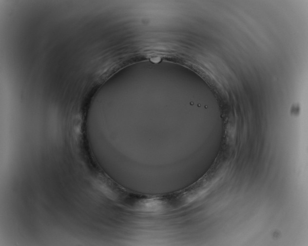 X0000102500219200808221802