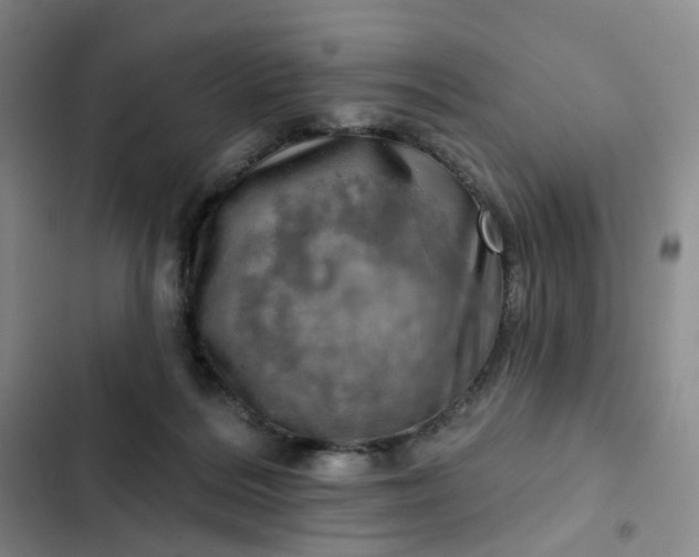 X0000102500220200808221802