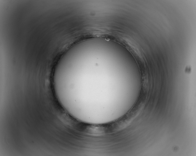 X0000102500221200808221802