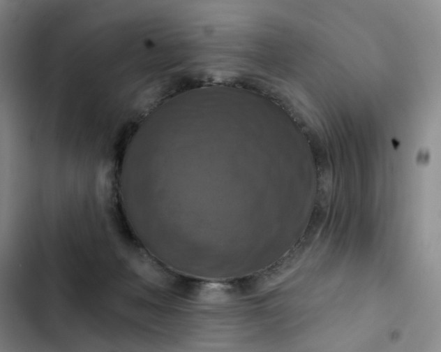 X0000102500222200808221802