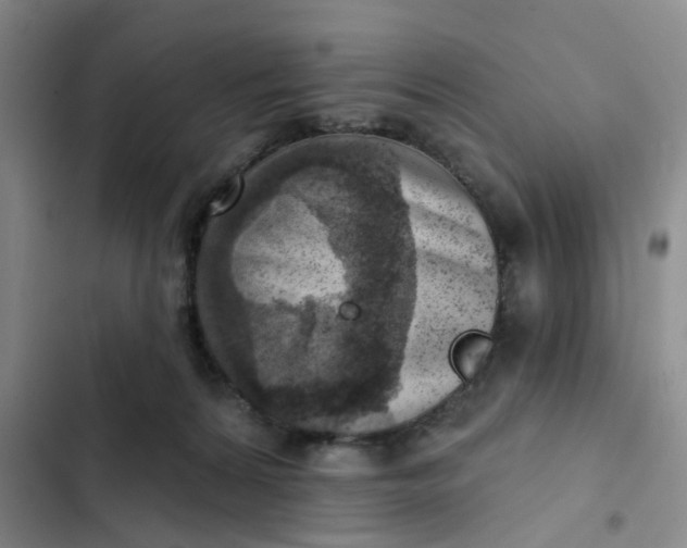 X0000102500224200808221802