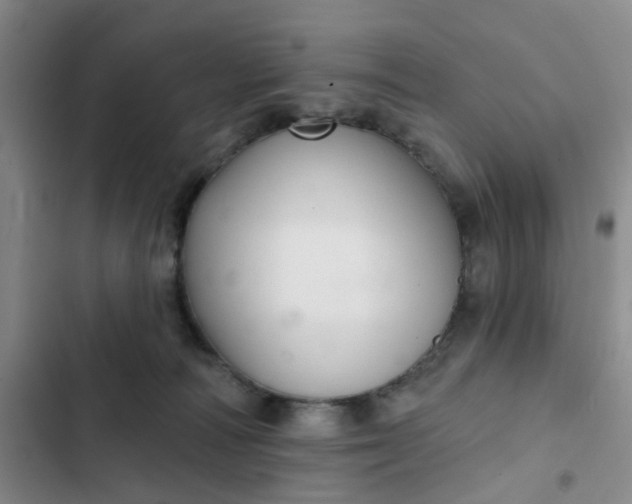 X0000102500226200808221801