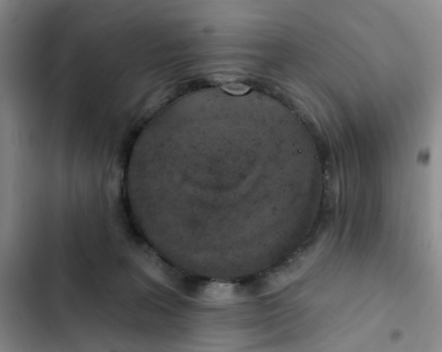 X0000102500227200808221801