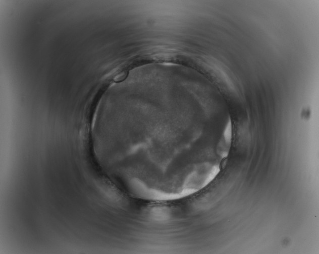 X0000102500228200808221801