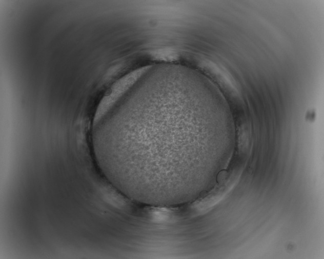 X0000102500229200808221801