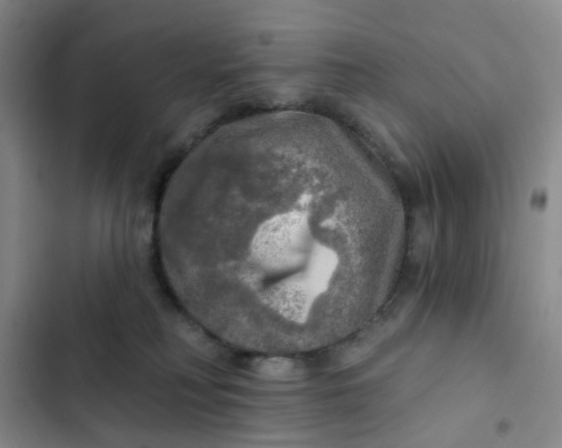 X0000102500230200808221801