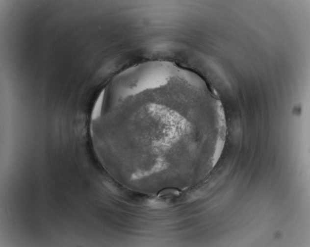 X0000102500232200808221801