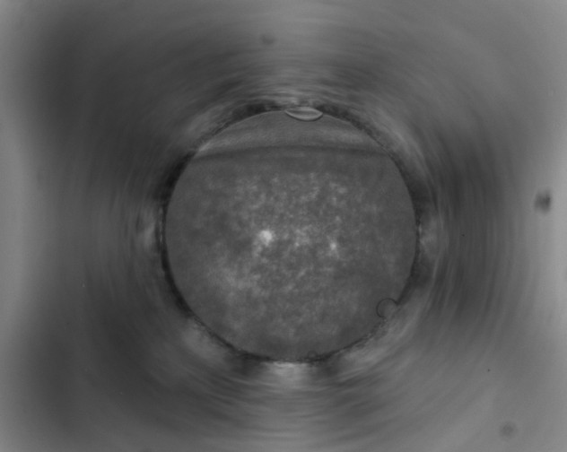 X0000102500233200808221801