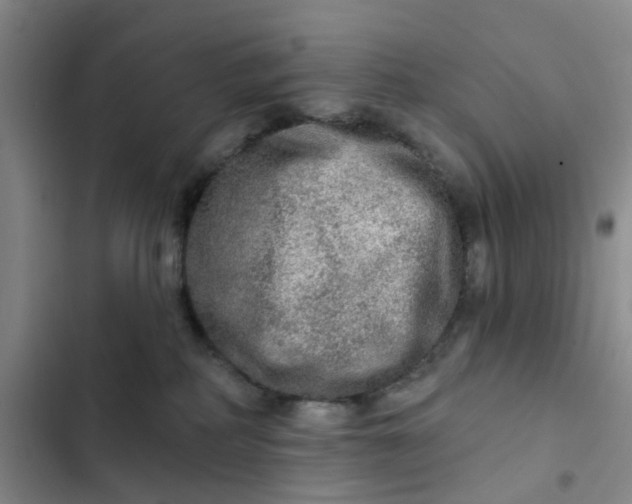 X0000102500234200808221801