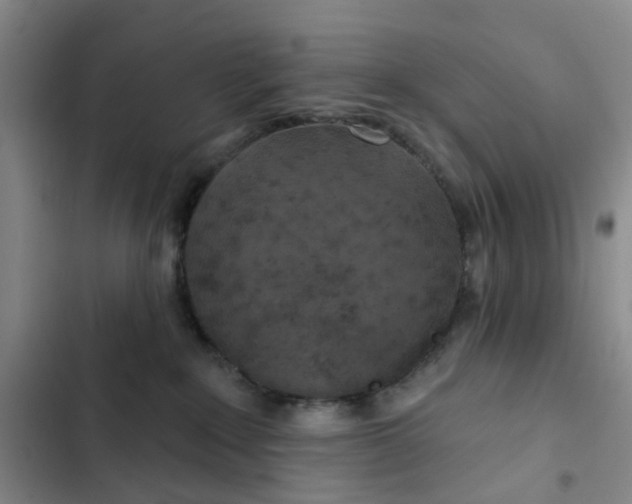 X0000102500235200808221801