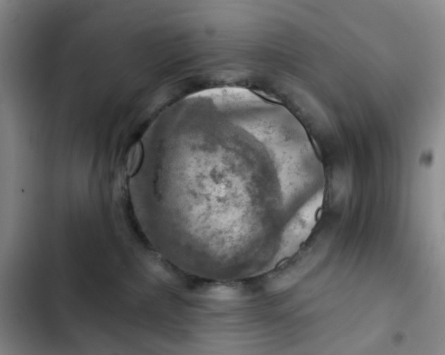 X0000102500236200808221801