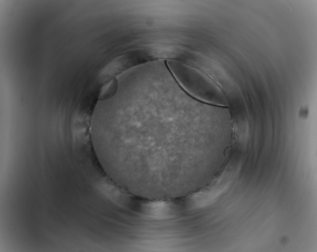 X0000102500237200808221801