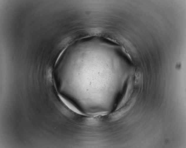 X0000102500238200808221801