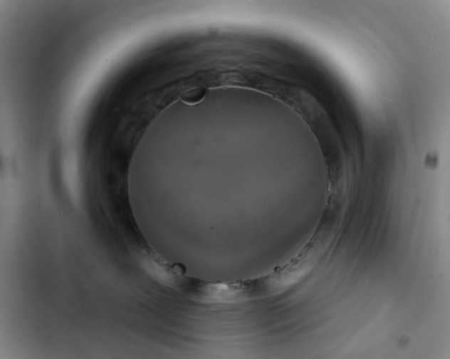 X0000102500239200808221801