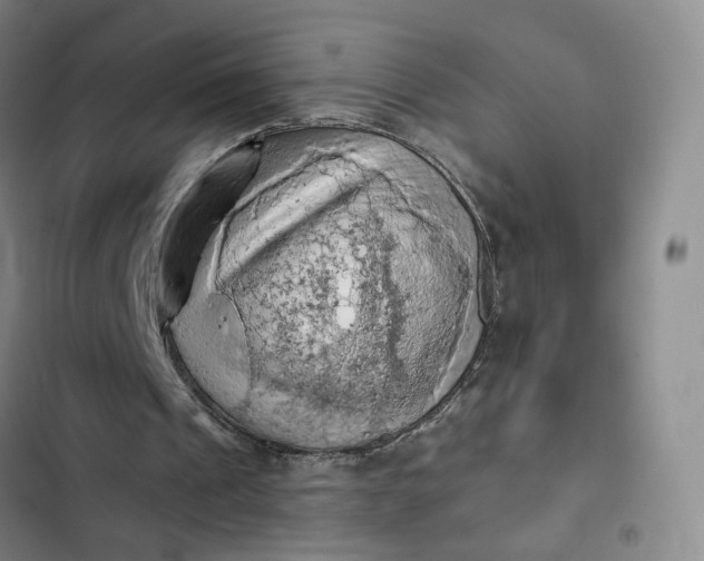 X0000102500241200808221801