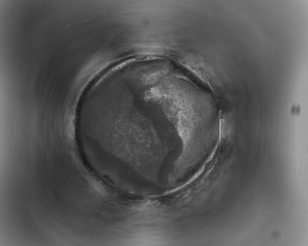 X0000102500243200808221801