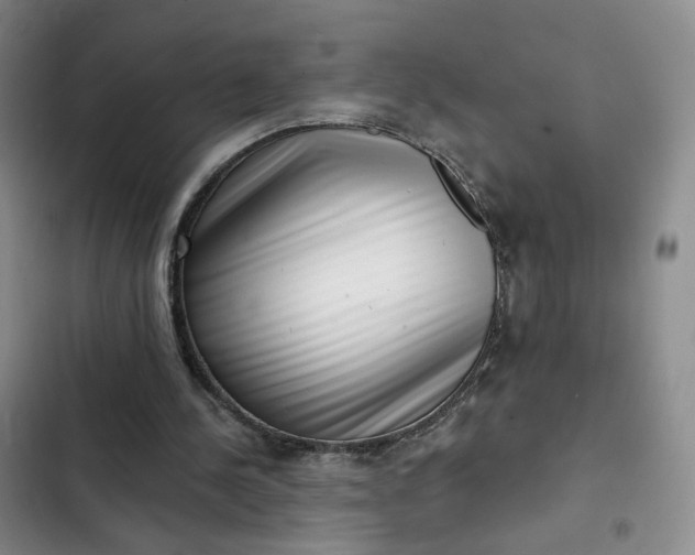 X0000102500244200808221801