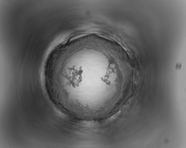 X0000102500245200808221801