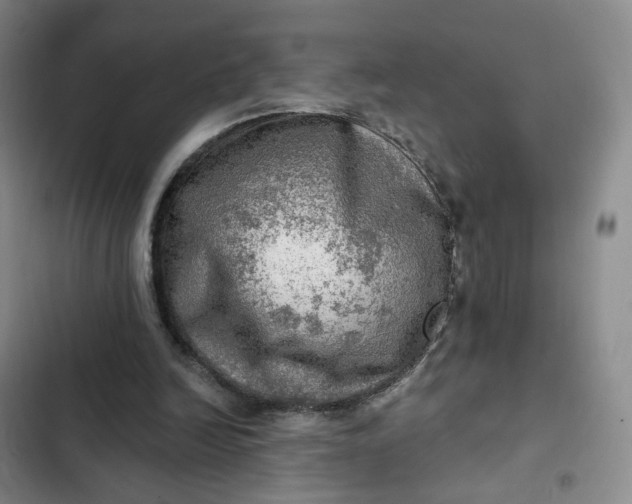 X0000102500246200808221801