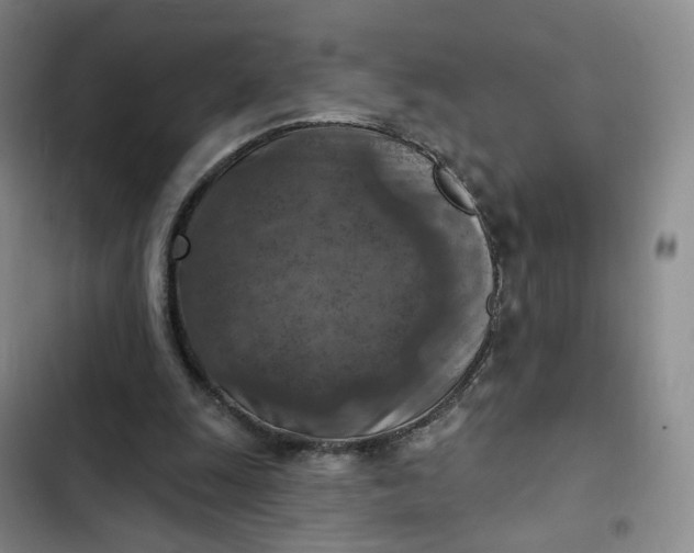 X0000102500247200808221801