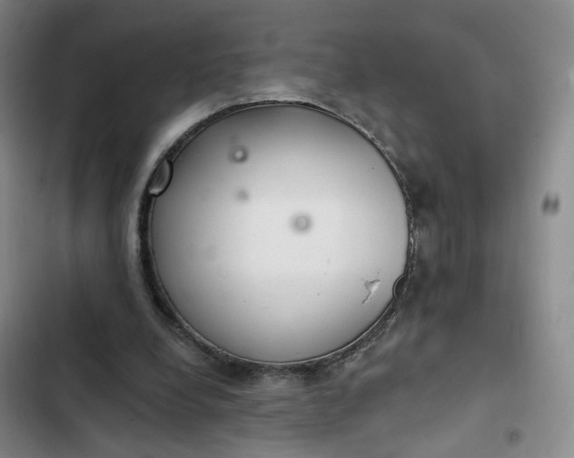 X0000102500248200808221801