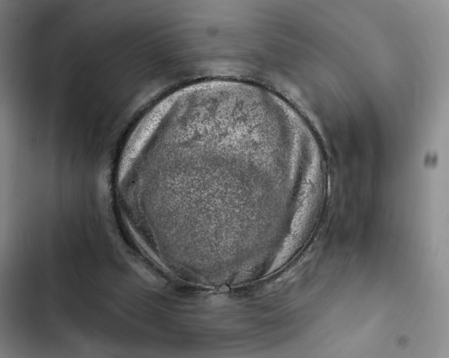 X0000102500249200808221801