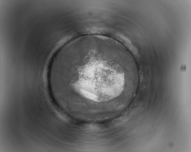 X0000102500250200808221801