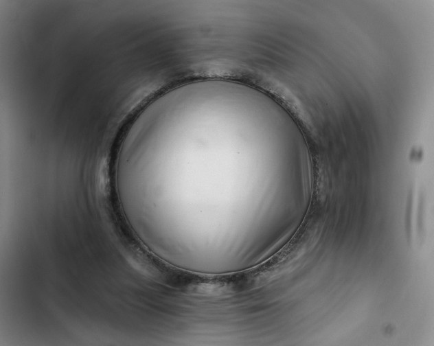 X0000102500251200808221801