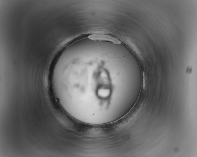 X0000102500252200808221801