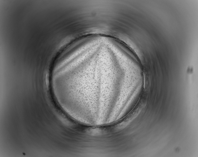 X0000102500253200808221801