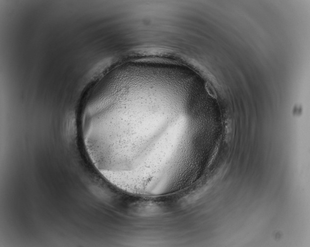 X0000102500254200808221801