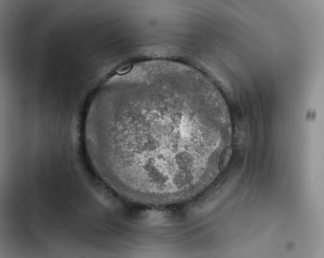 X0000102500255200808221801