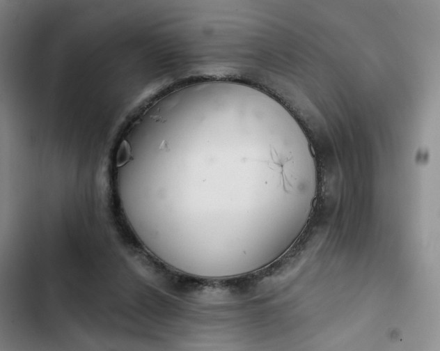 X0000102500256200808221801